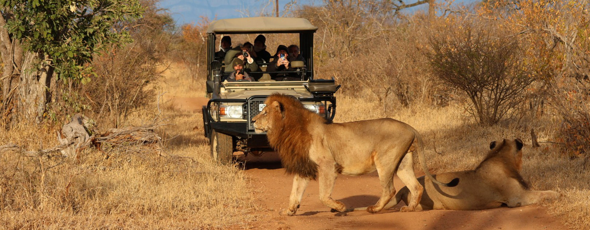 Leopard's Lair Bush Lodge