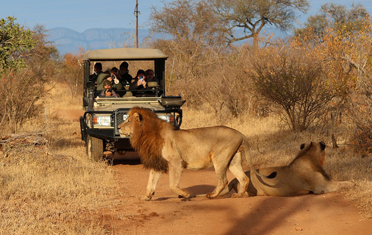 Leopard's Lair Bush Lodge